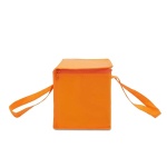 02399-bolsa-termica-6-litros-10175500260