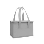02399-bolsa-termica-6-litros-11871416970
