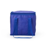 02697-bolsa-termica-12-litros-1712076739