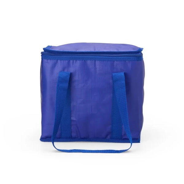 02697-bolsa-termica-12-litros-1712076739