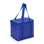 02697-bolsa-termica-12-litros-5136230217