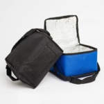 15109-bolsa-termica-8-litros-1722011490