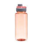 Squeeze-Plastica-1-Litro-SALMAO-21406-1731333239